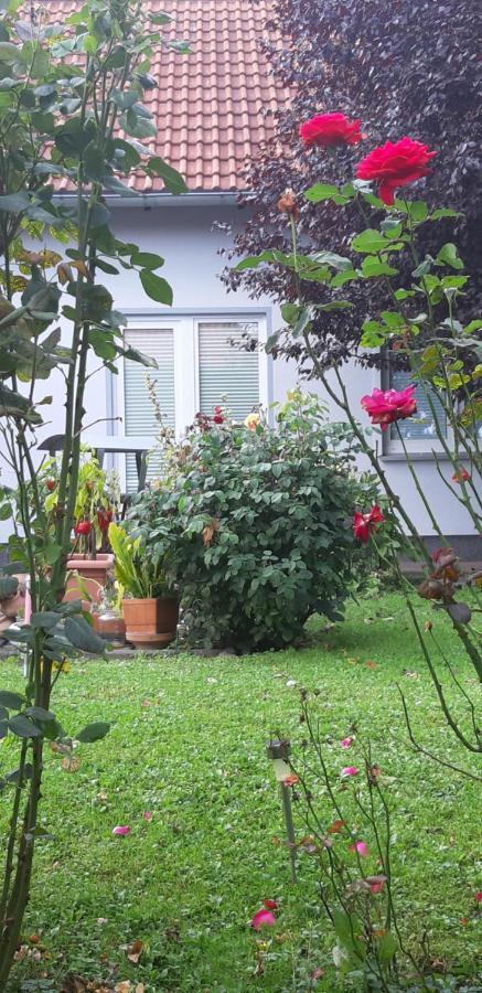 Ferienwohnung Relax السنبرغ المظهر الخارجي الصورة